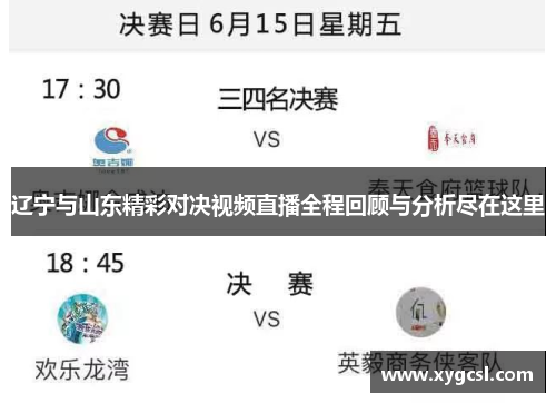 辽宁与山东精彩对决视频直播全程回顾与分析尽在这里
